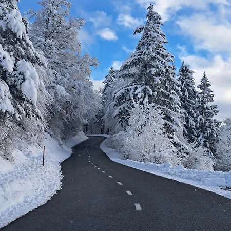 Apartma Maya Appartamento *