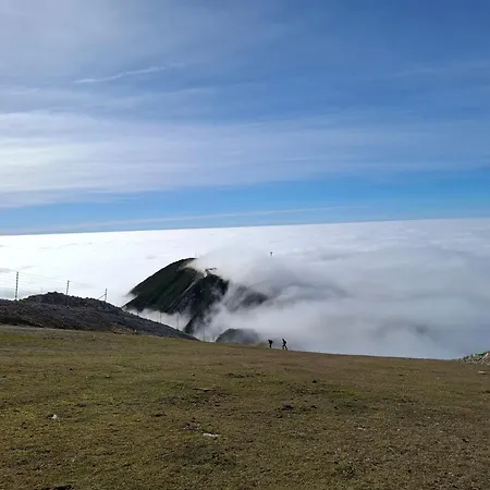 Appartement Apartma Maya *