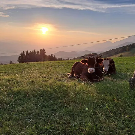 Apartma Maya Appartement