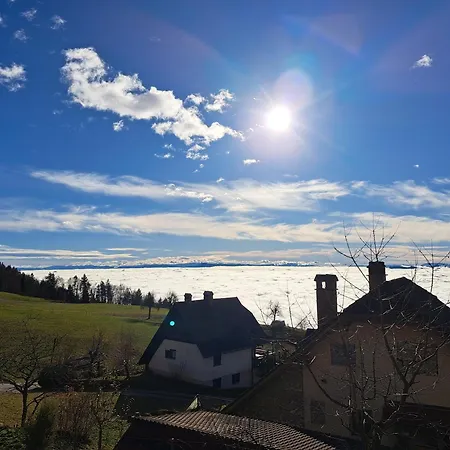 Appartamento Apartma Maya *