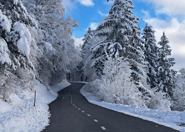 Apartma Maya アパート *