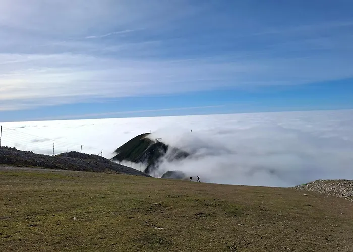 Apartmán Apartma Maya *