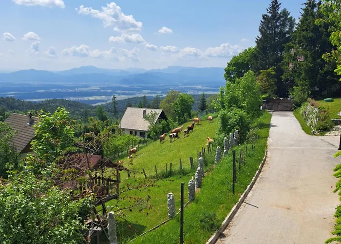 Apartma Maya * ツェルクニェ・ナ・ゴレニスケム