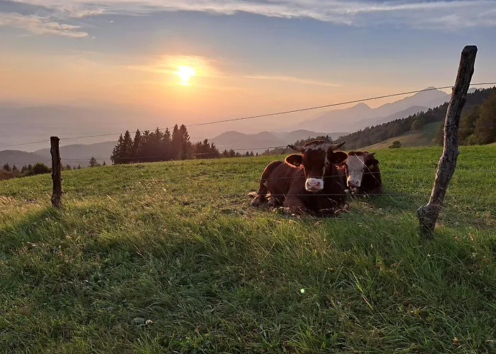 Apartma Maya Appartement