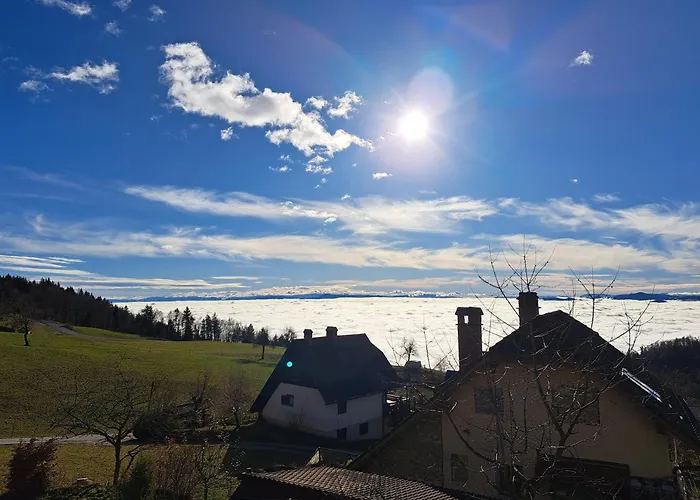 Appartement Apartma Maya *